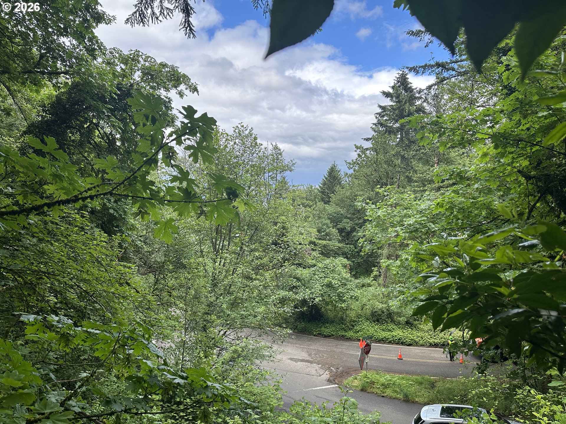 0 Southwest Mcdonnell Portland, OR 97239 - Photo 15 of 17 a view of a yard