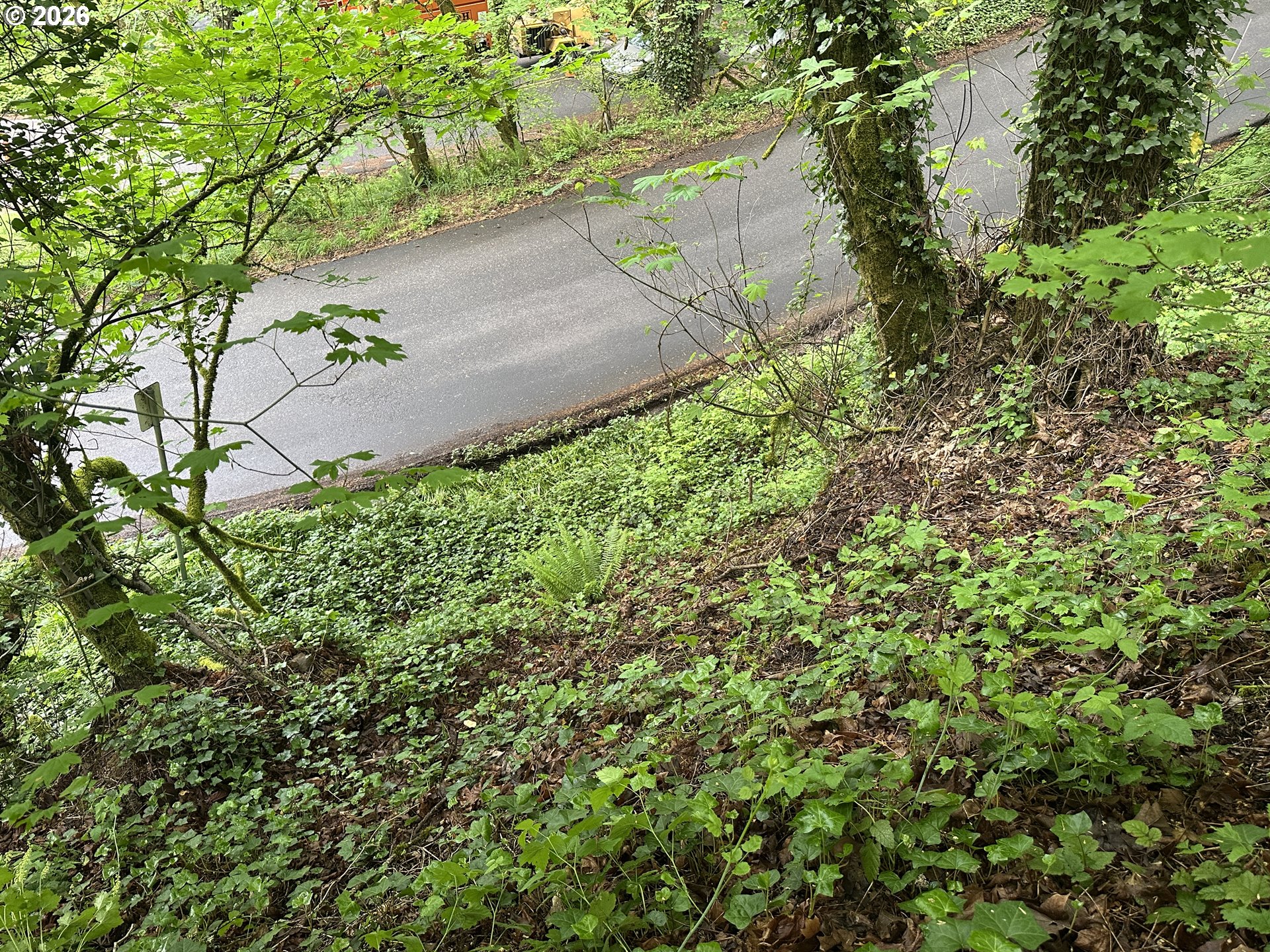 0 Southwest Mcdonnell Portland, OR 97239 - Photo 16 of 17 a view of a garden