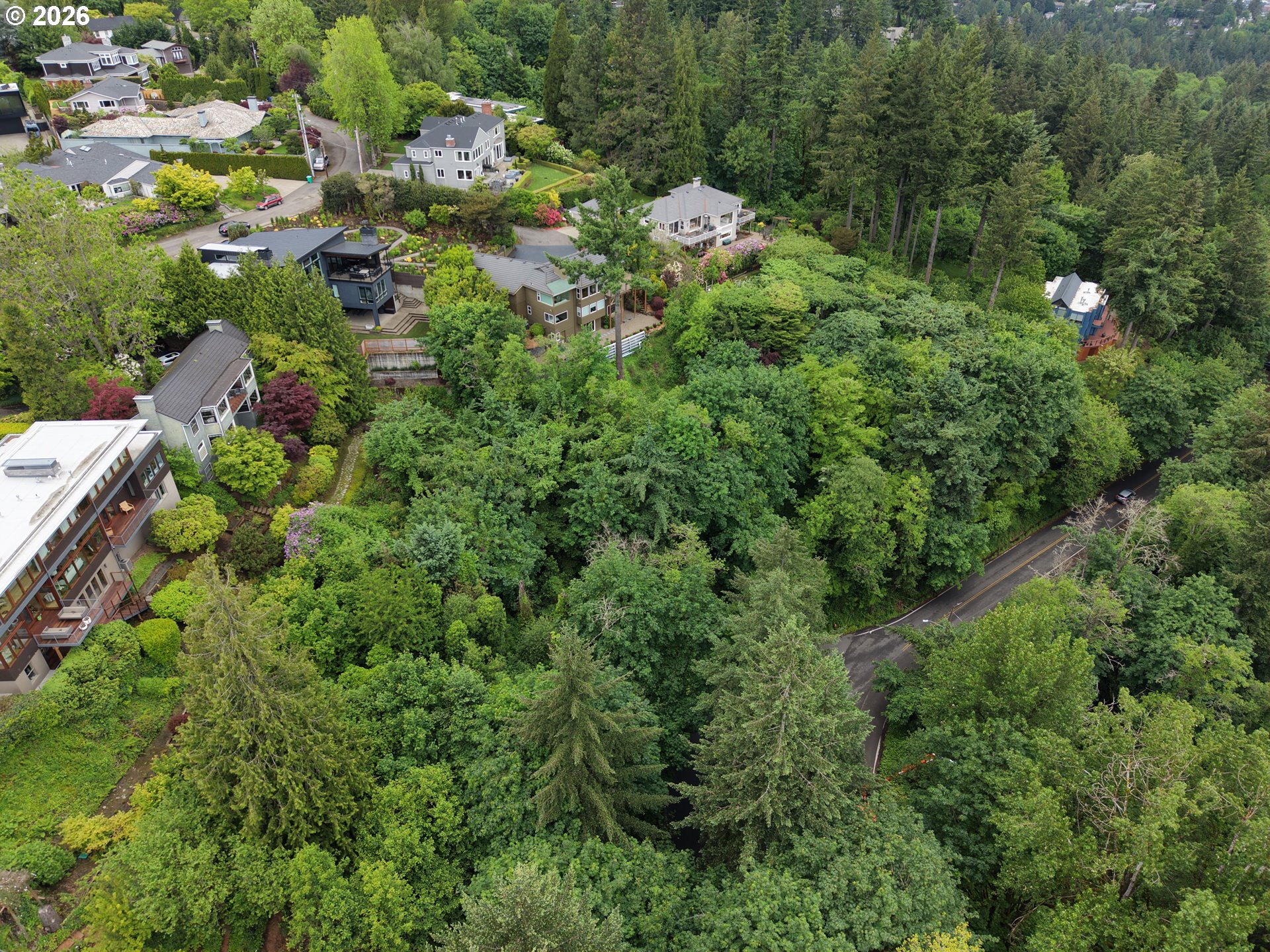 0 Southwest Mcdonnell Portland, OR 97239 - Photo 5 of 17 a view of a tree in a garden