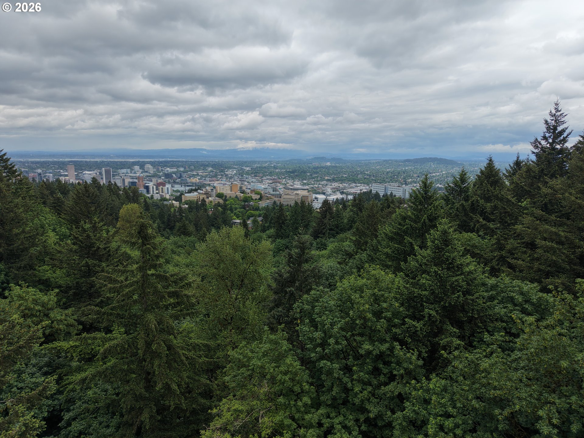0 Southwest Mcdonnell Portland, OR 97239 - Photo 6 of 17 a view of a city with lush green forest