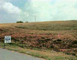 Hempridge Road Shelbyville, KY 40065 - Photo 1 of 1 Primary Photo