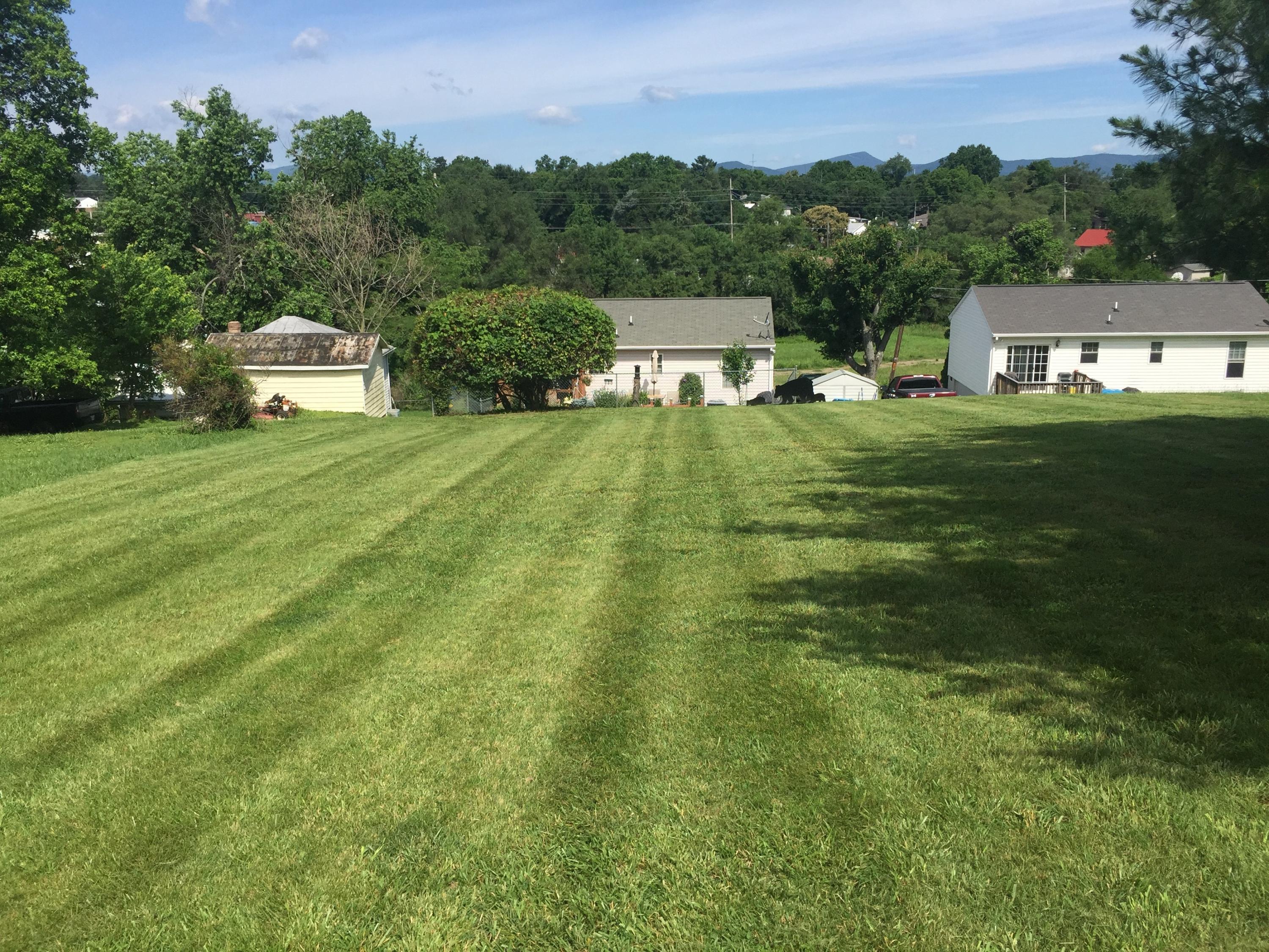 1007 Liberty Road Northeast Roanoke, VA 24012 - Photo 2 of 27 Yard