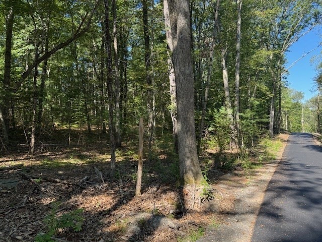 13 A Asylum Street Mendon, MA 01756 - Photo 6 of 7