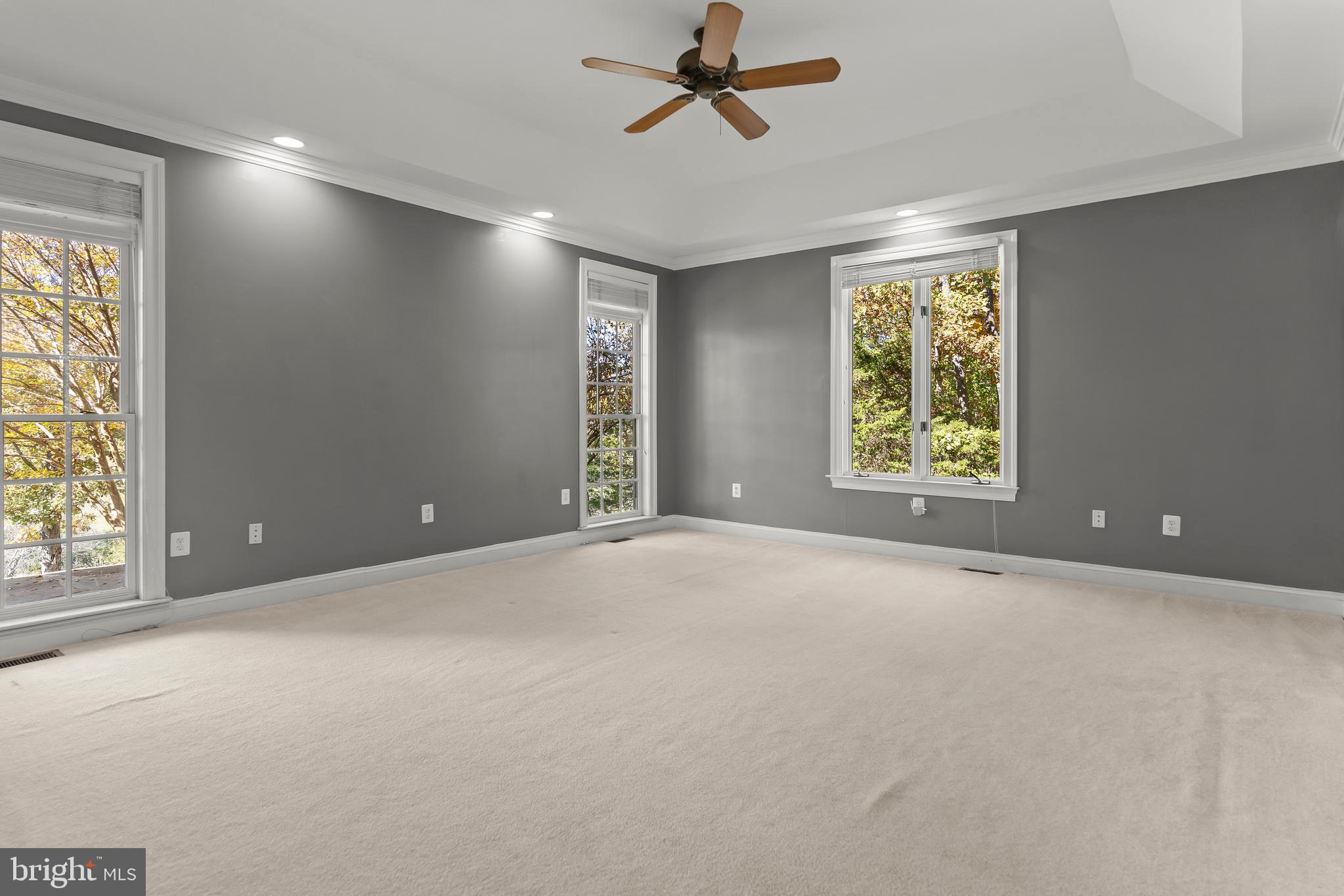 14294 Browntown Road Culpeper, VA 22701 - Photo 37 of 118