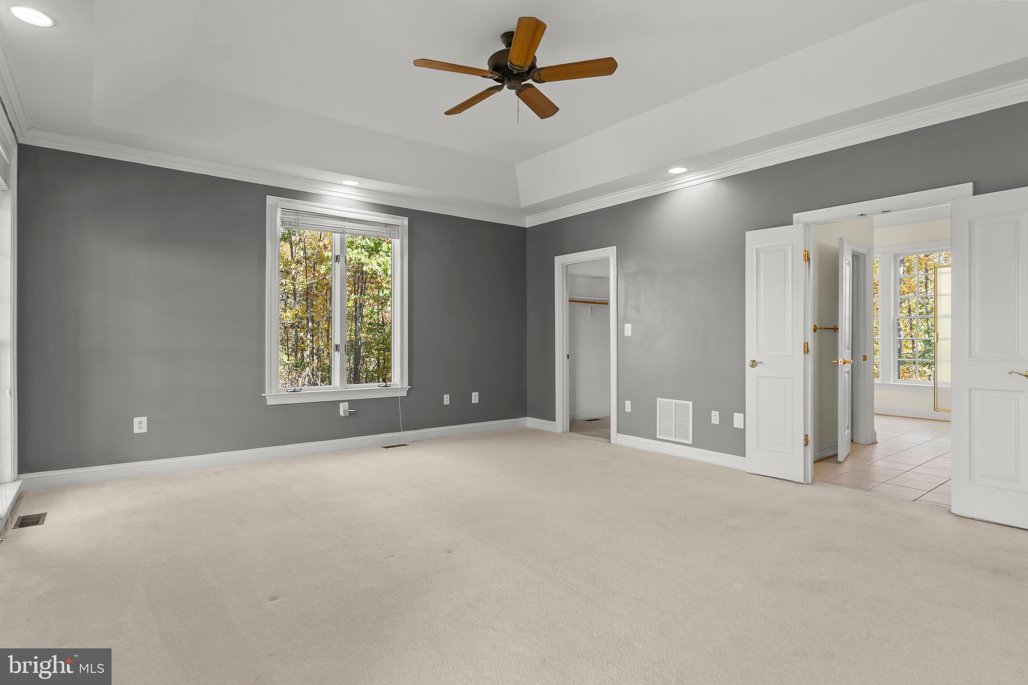 14294 Browntown Road Culpeper, VA 22701 - Photo 38 of 118 Large Primary Bedroom