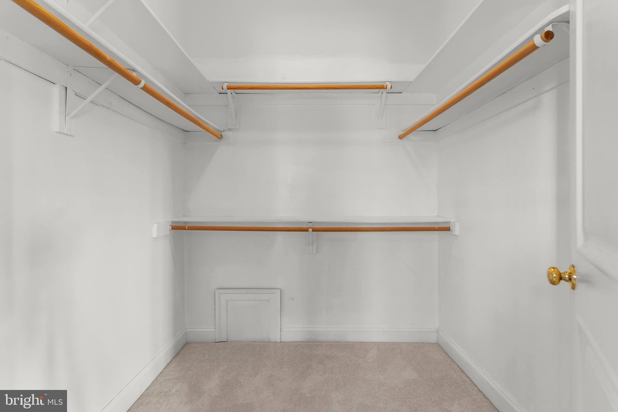 14294 Browntown Road Culpeper, VA 22701 - Photo 39 of 118 Primary Walk in Closet