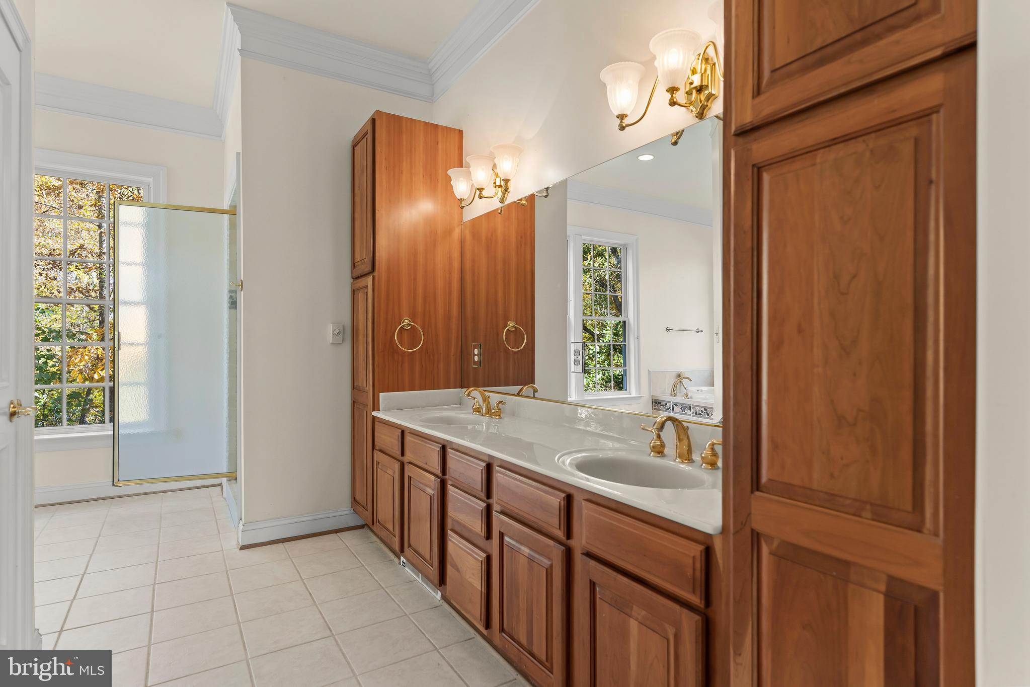 14294 Browntown Road Culpeper, VA 22701 - Photo 40 of 118 Large Primary Bathroom