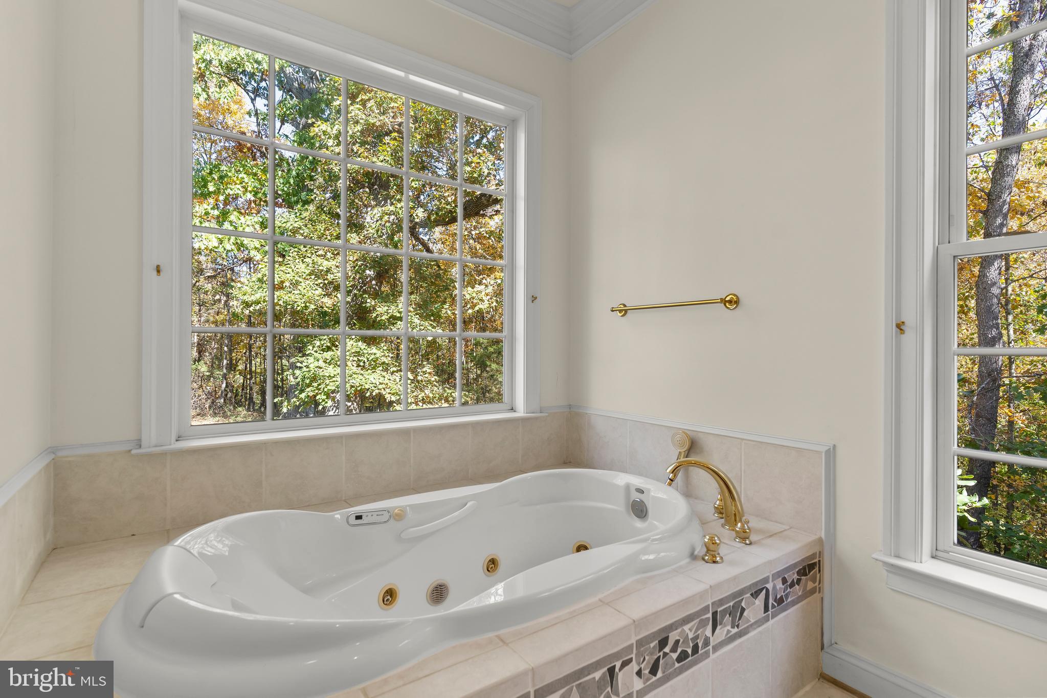 14294 Browntown Road Culpeper, VA 22701 - Photo 41 of 118 Jetted Tub