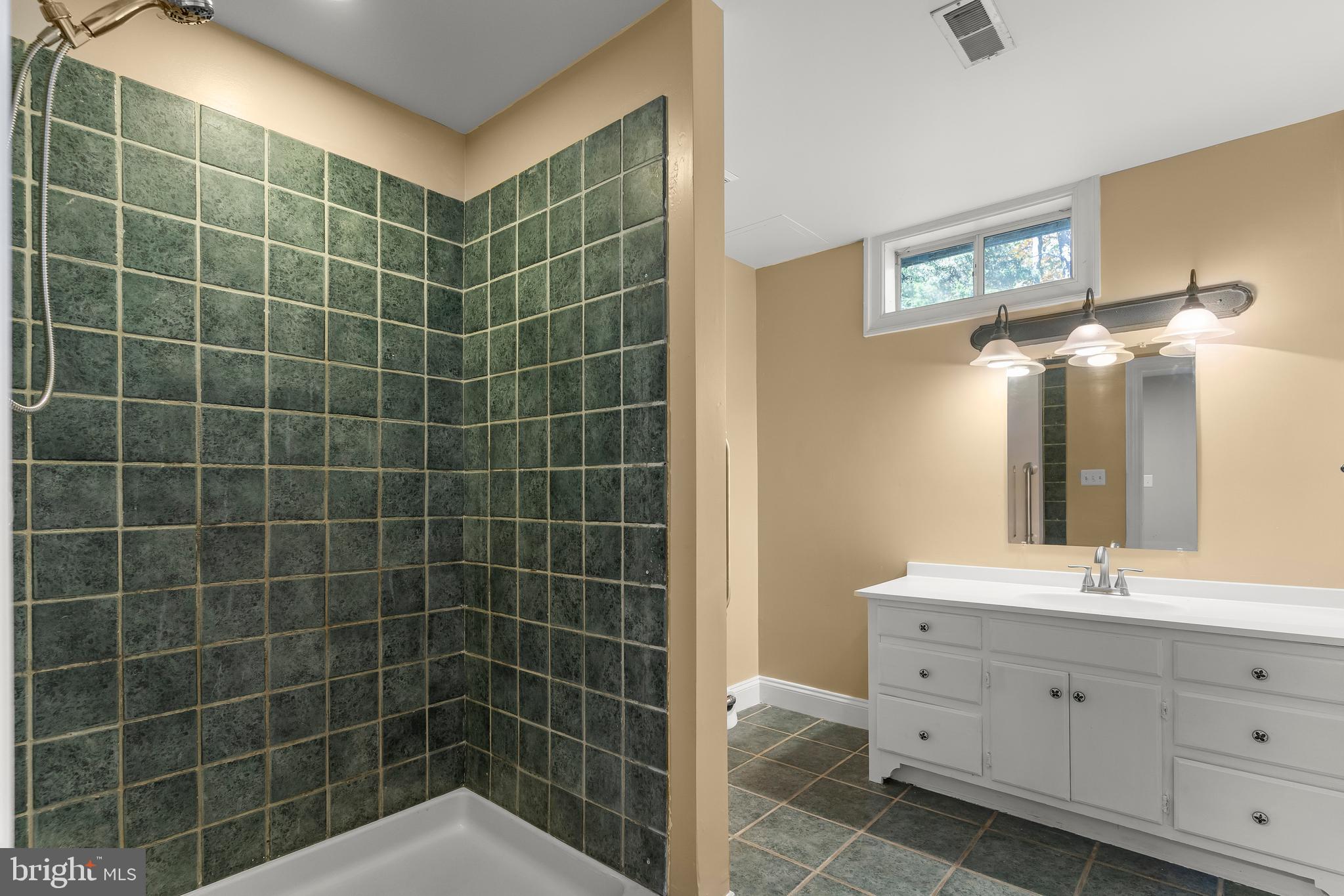 14294 Browntown Road Culpeper, VA 22701 - Photo 52 of 118 Lower-level Full Bath