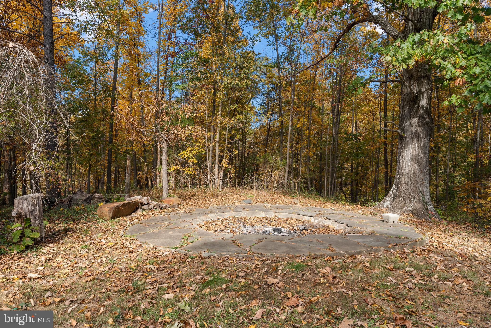 14294 Browntown Road Culpeper, VA 22701 - Photo 66 of 118 Awesome Fire Pit