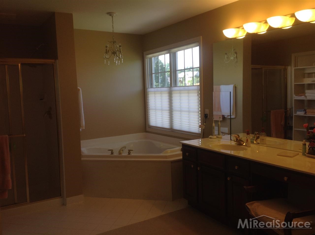 1185 Miners Run Rochester, MI 48306 - Photo 20 of 27 Master Bath