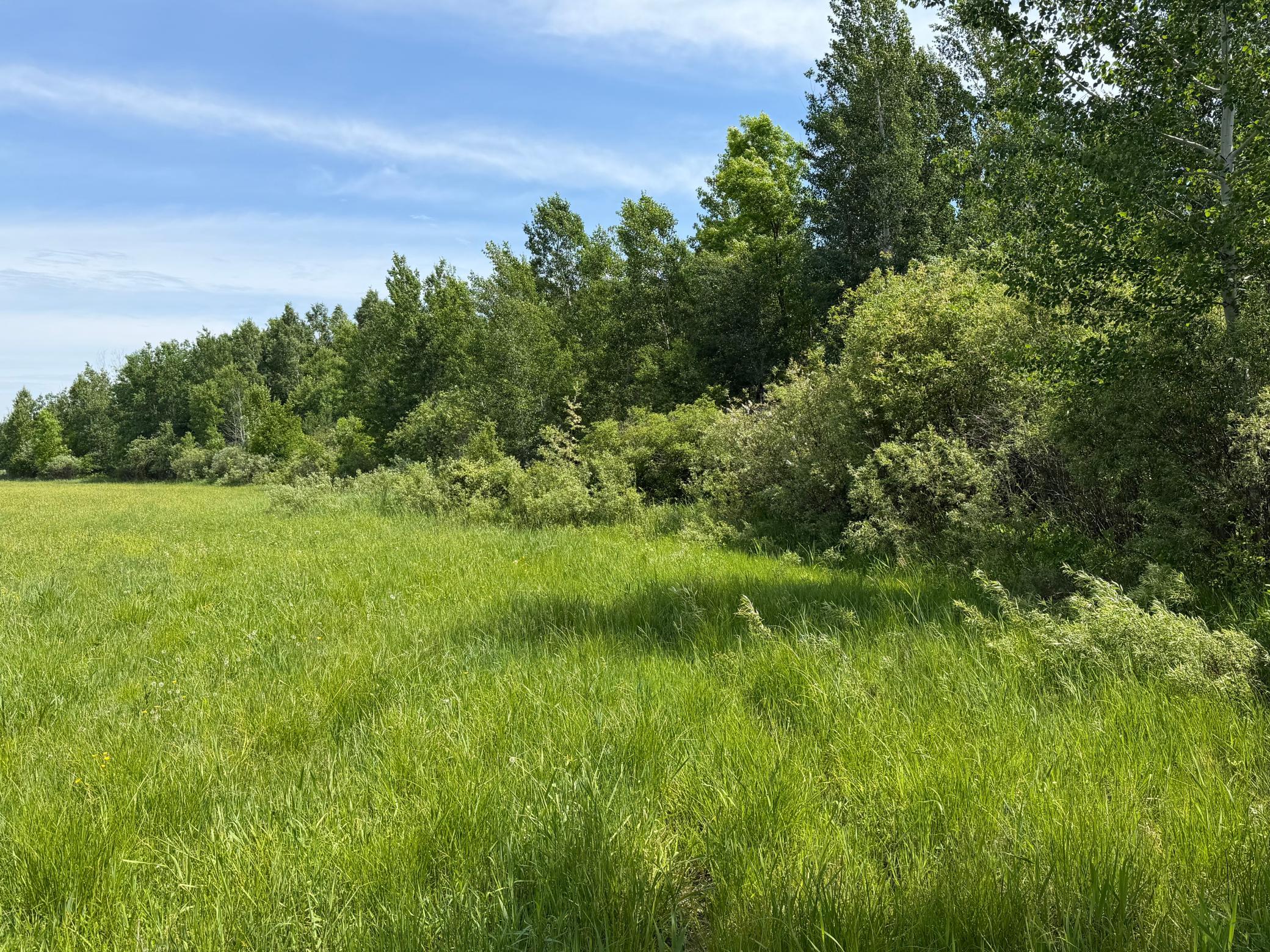Tbd-b 180th Street Milaca, MN 56353 - Photo 14 of 80