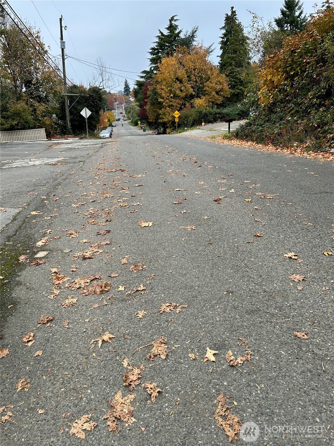 13101 64th Avenue South Seattle, WA 98178 - Photo 33 of 34 a view of road with yard