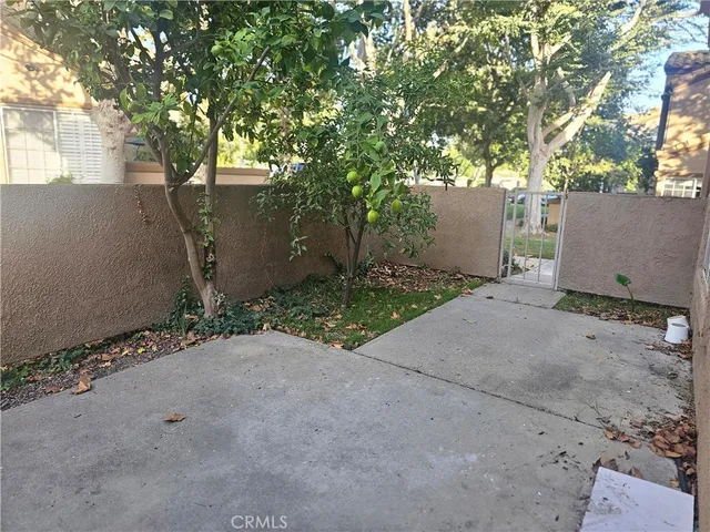 a view of a house with a tree and plants