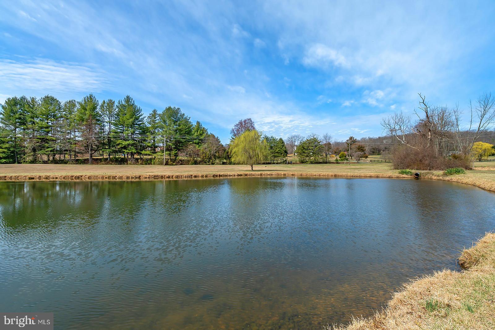 6087 Georgetown Road Broad Run, VA 20137 - Photo 57 of 61 stocked pond