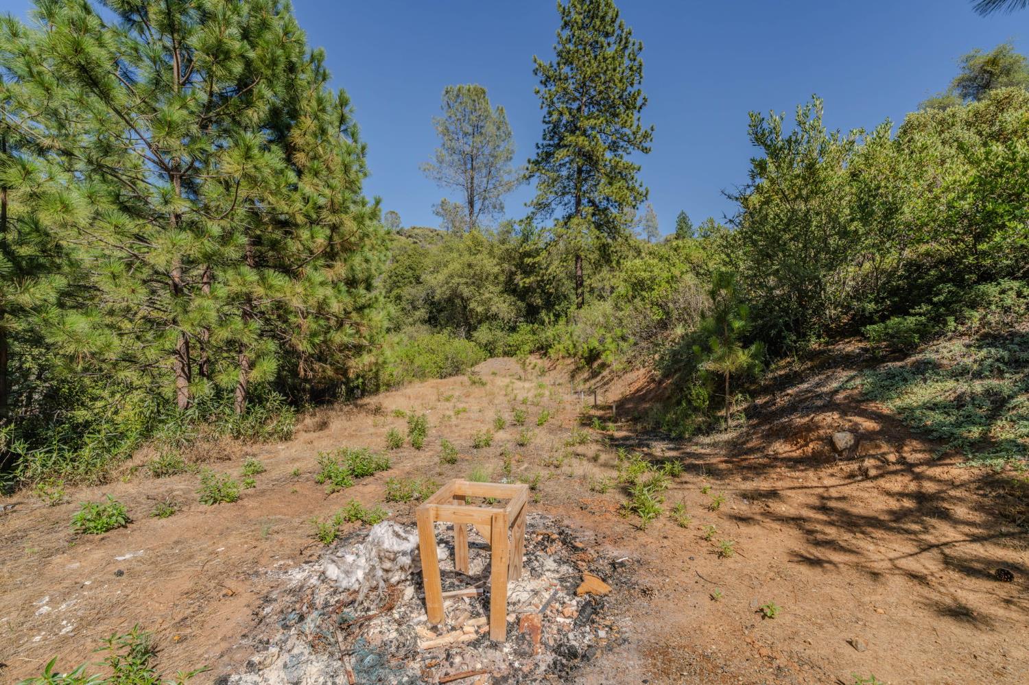 6240 Michel Road Mountain Ranch, CA 95246 - Photo 62 of 92