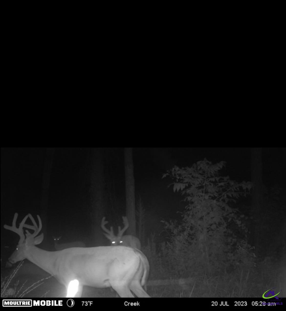 153 Henderson Springs Road Elko, GA 31025 - Photo 8 of 9
