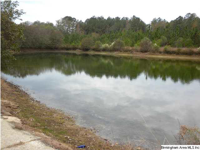 Bluff Ridge Road, Unit 16 Bessemer, AL 35022 - Photo 5 of 11