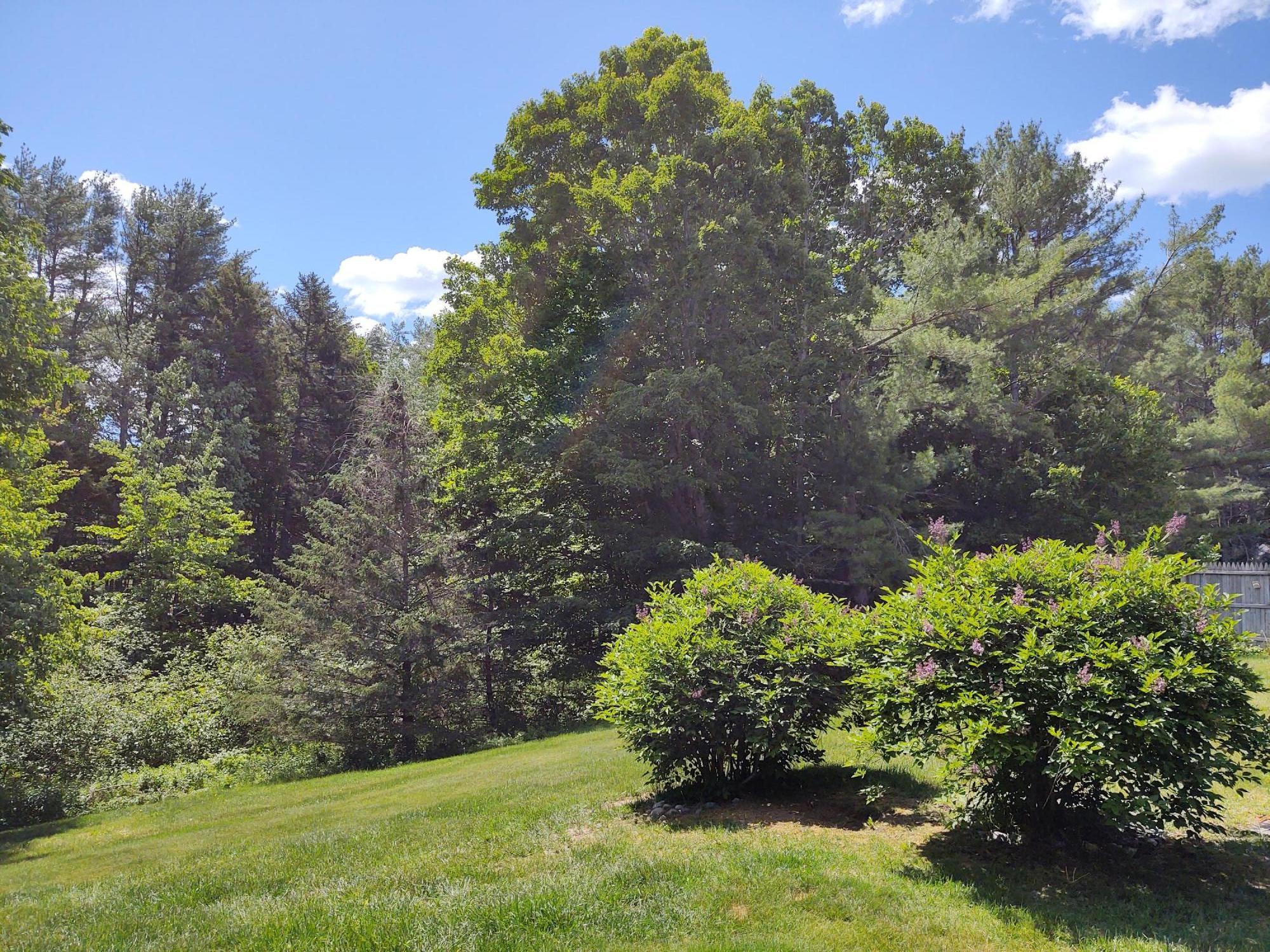 46 Cluf Bay Road, Unit 46 Brunswick, ME 04011 - Photo 34 of 36 backyard