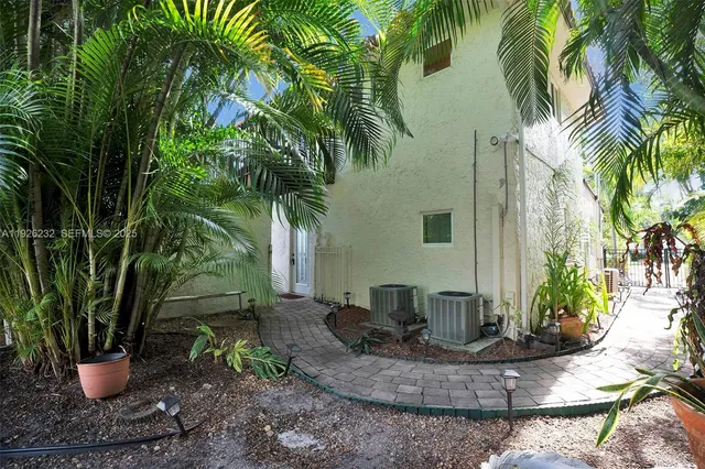 a view of a backyard with plants and palm tree