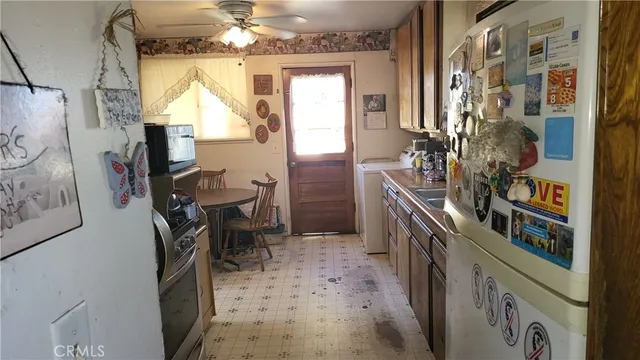 a view of backyard with potted plants