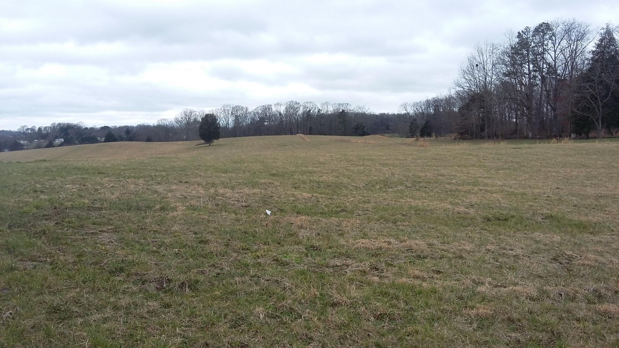 0 Lot 3 Caldwell Road Loudon, TN 37774 - Photo 1 of 5 Gallery Image 1
