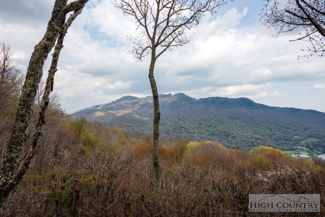 213 Ridge Drive, Unit 2 Linville, NC 28646 - Photo 5 of 13 Gallery Image 5