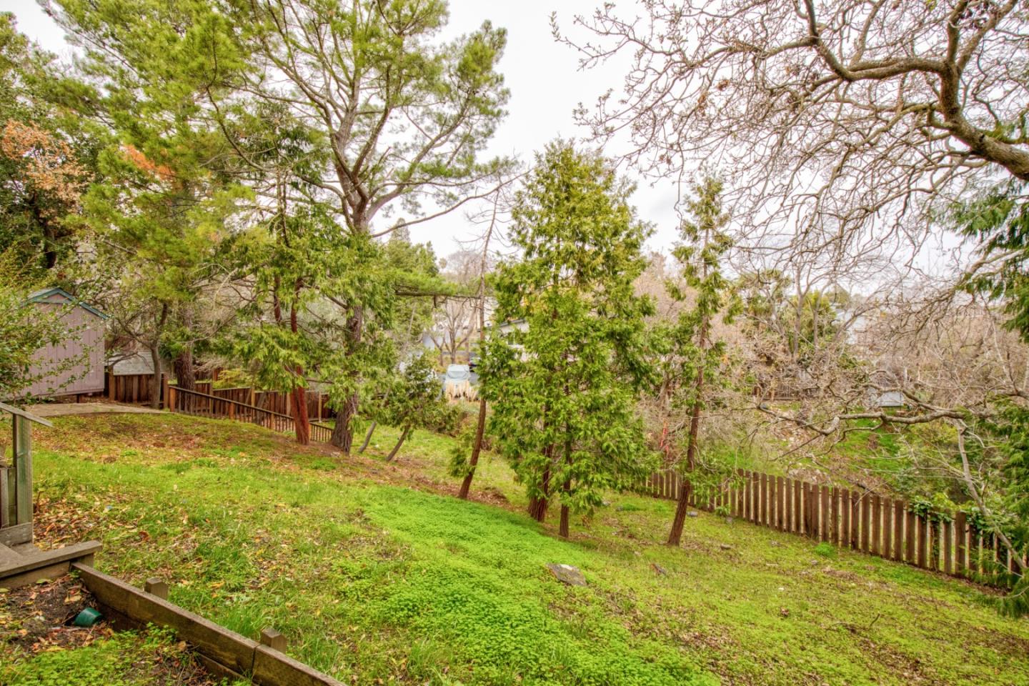 865 Sunset Drive San Carlos, CA 94070 - Photo 23 of 26 a view of yard with tree