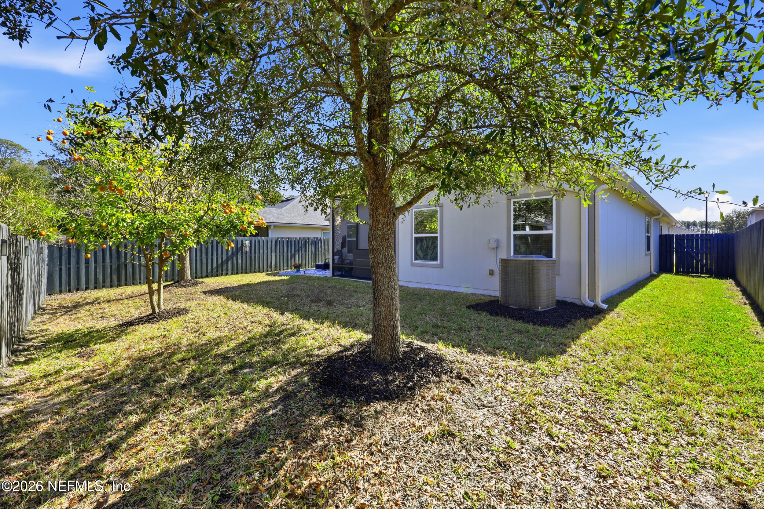 43 Bluestone River Way St. Augustine, FL 32092 - Photo 38 of 57 Backyard