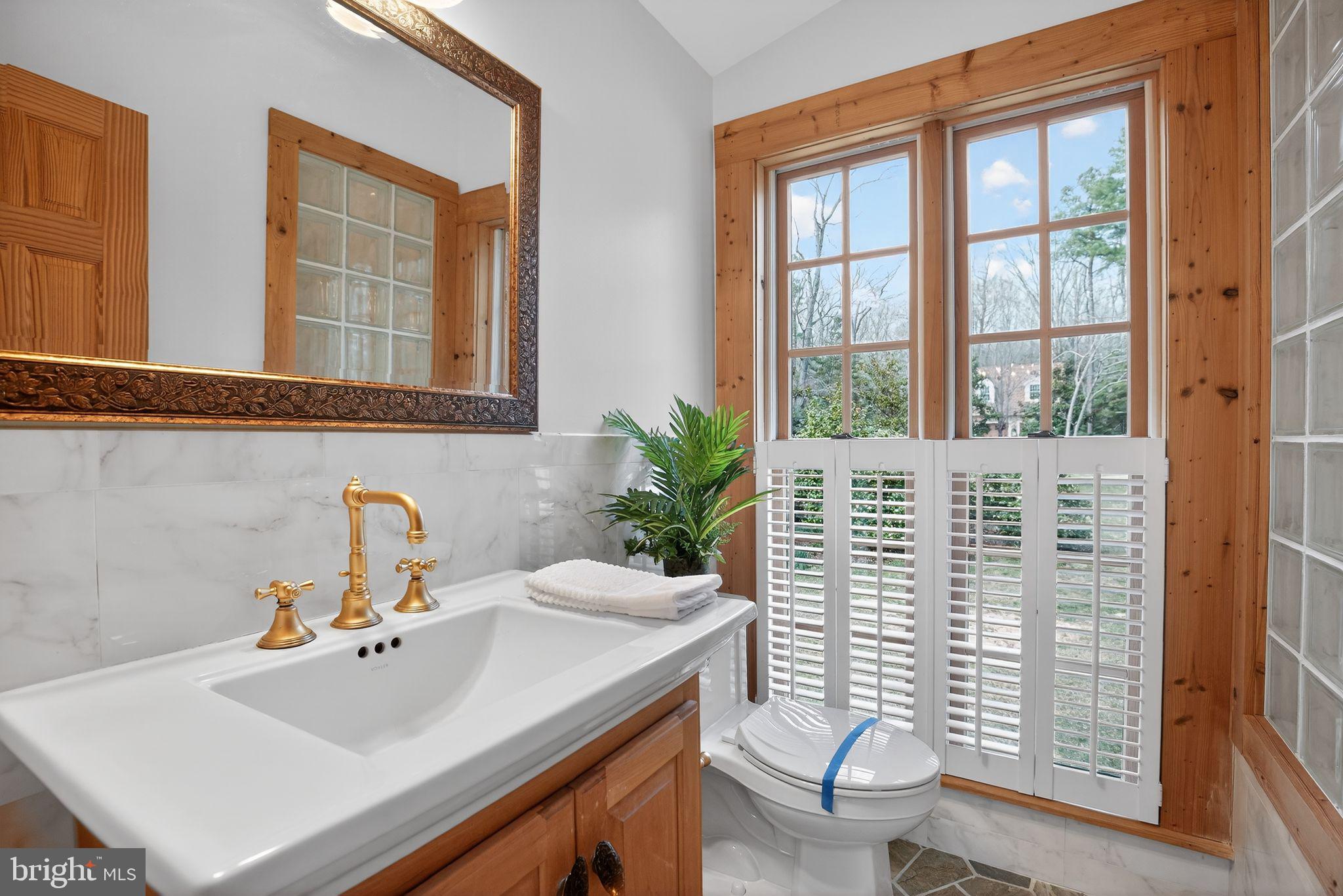 20045 Tower Hill Road Leonardtown, MD 20650 - Photo 34 of 65 Primary bath, View III.