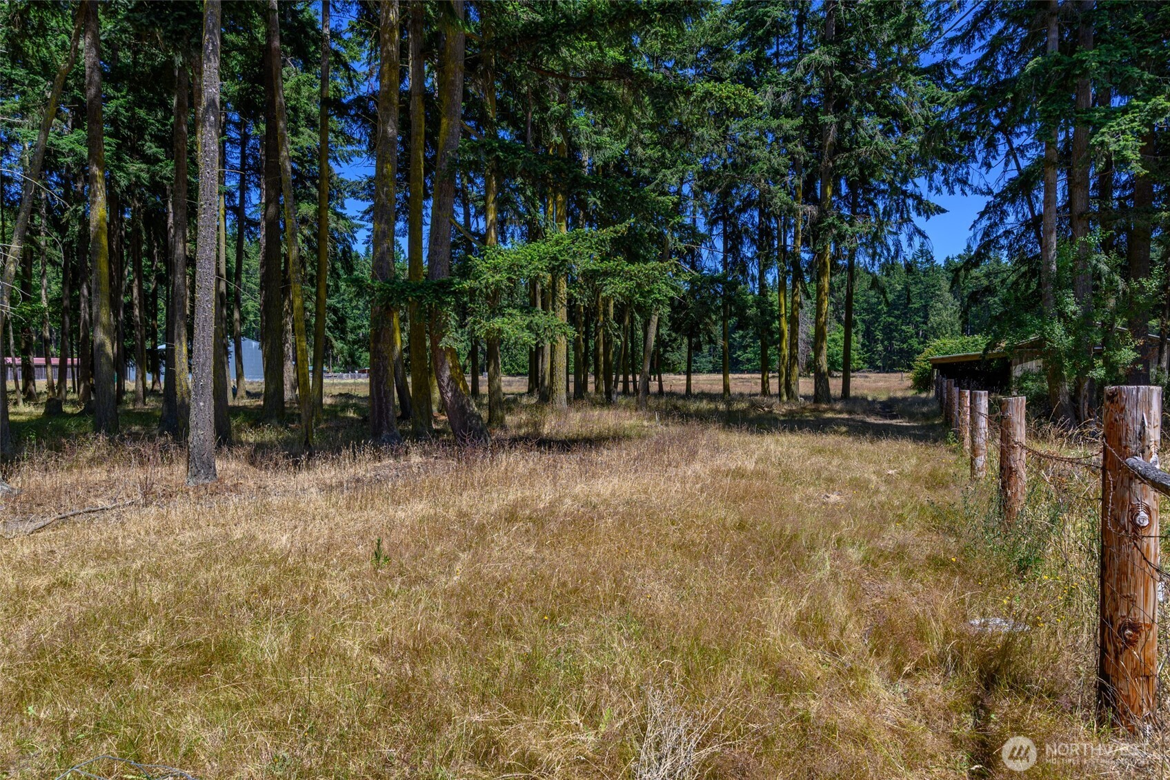 347 Jacobs Road Coupeville, WA 98239 - Photo 38 of 40 Gallery Image 38
