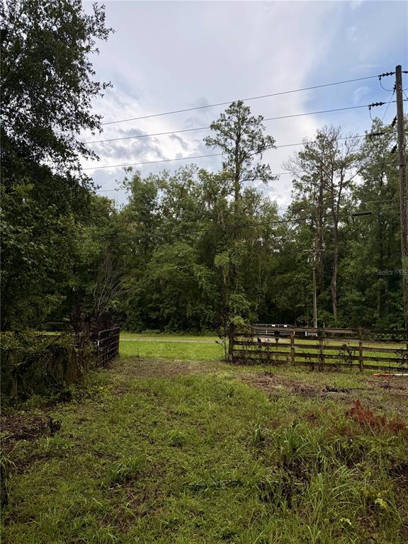 12602 Southwest Williston Road Micanopy, FL 32667 - Photo 6 of 21 Gallery Image 6