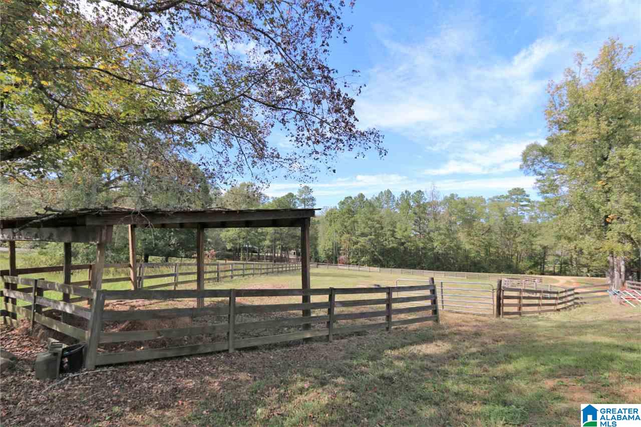 8460 Wolf Creek Road South Pell City, AL 35128 - Photo 30 of 49
