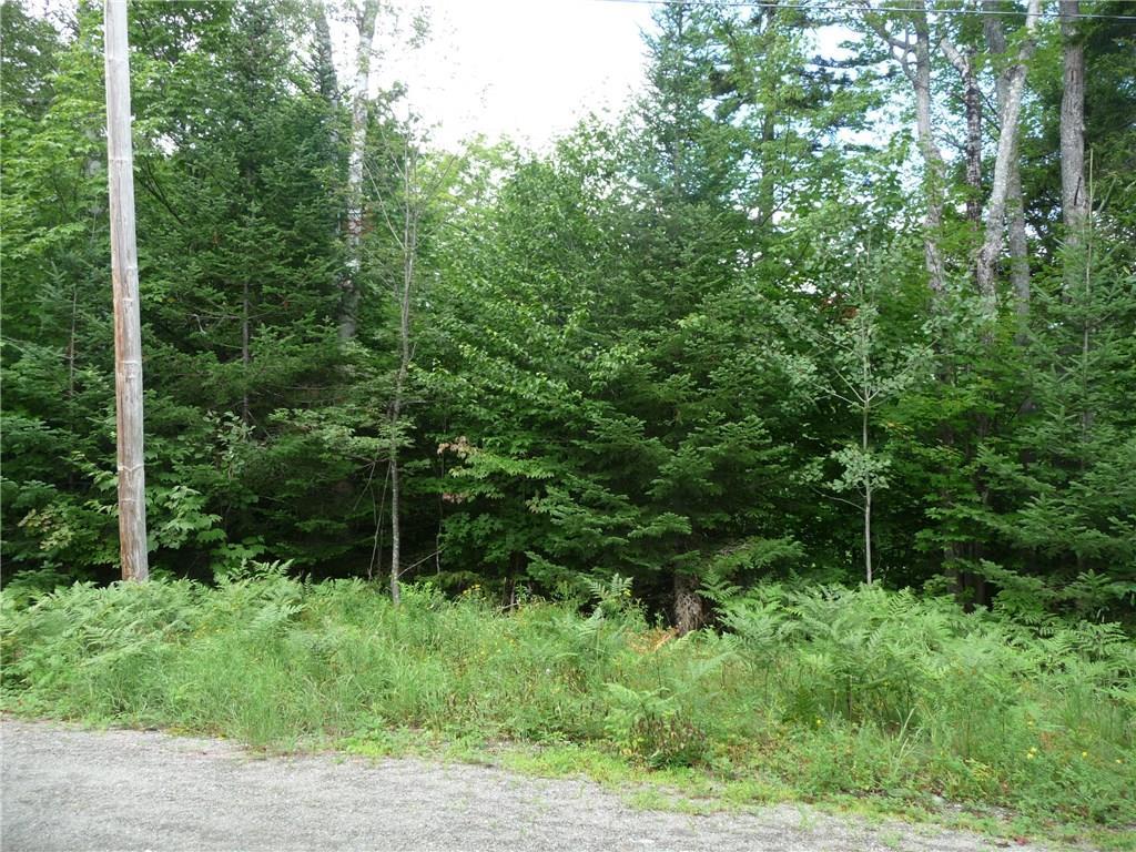 2032 Hillside Road Kingfield, ME 04947 - Photo 2 of 10 A nice variety of trees on this parcel.