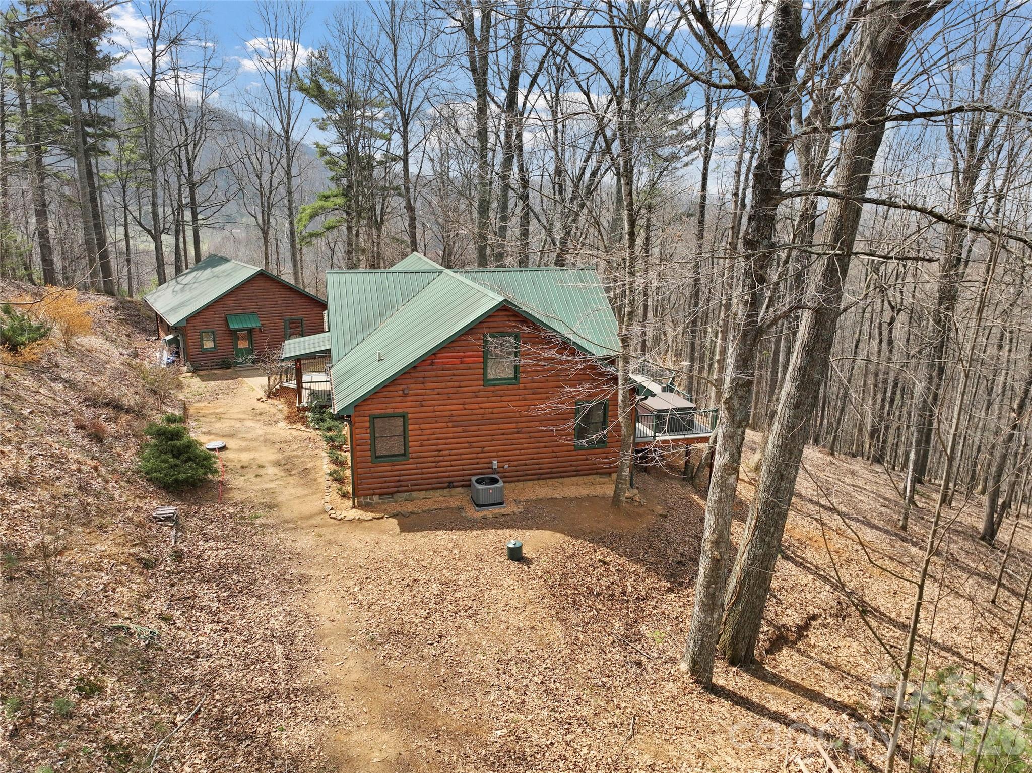 462 Little Mountain Road Bakersville, NC 28705 - Photo 3 of 48