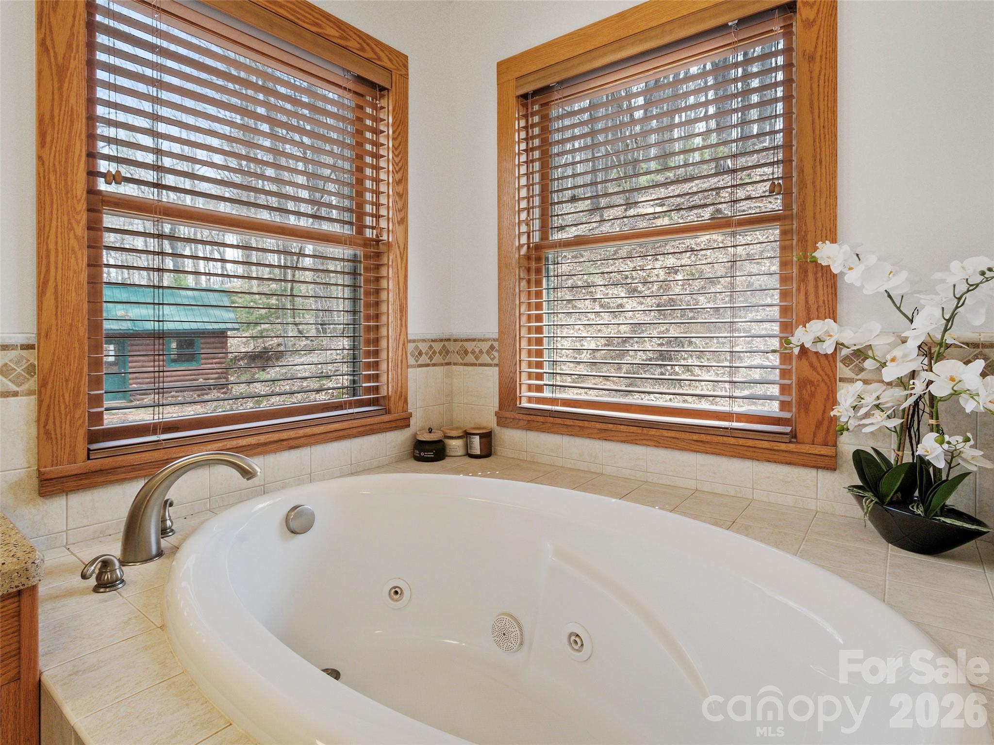 462 Little Mountain Road Bakersville, NC 28705 - Photo 32 of 48