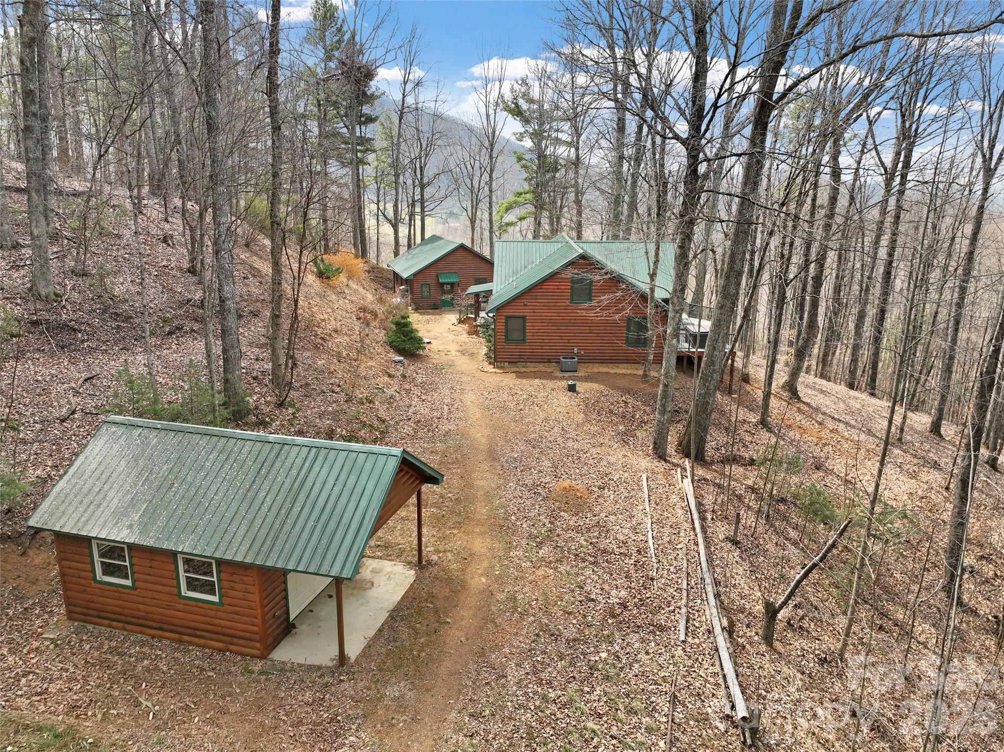 462 Little Mountain Road Bakersville, NC 28705 - Photo 5 of 48
