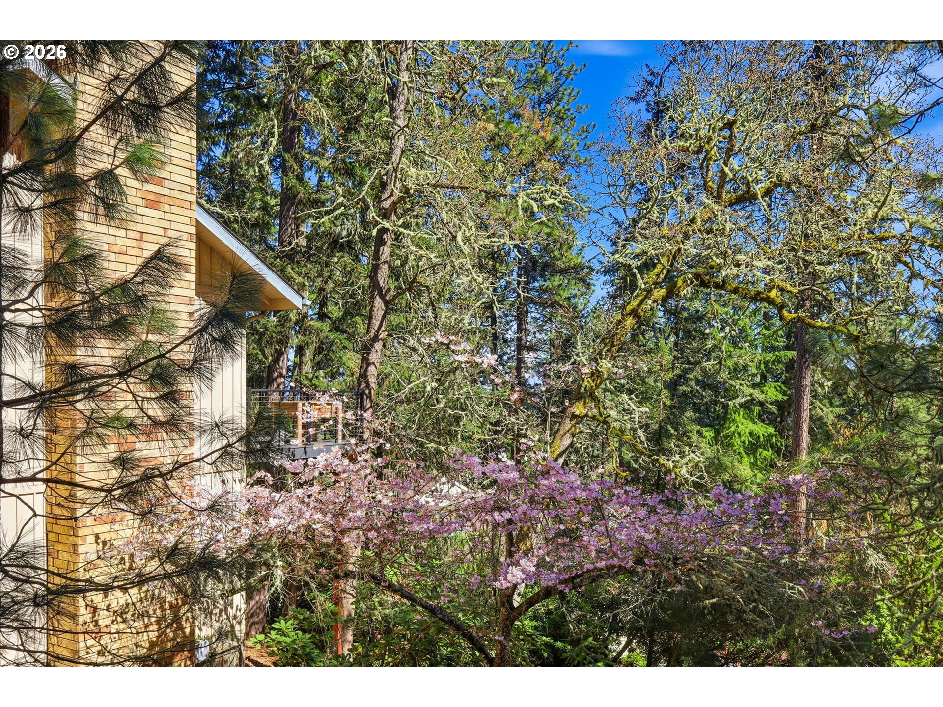 784 Brookside Drive Eugene, OR 97405 - Photo 29 of 32