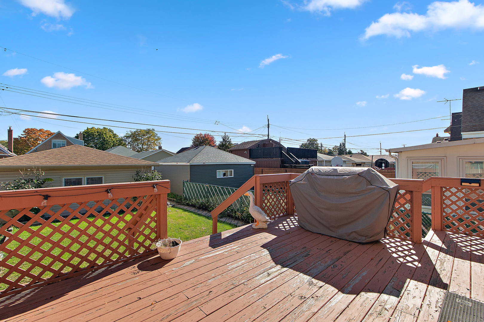 6731 South Kolin Avenue Chicago, IL 60629 - Photo 21 of 28