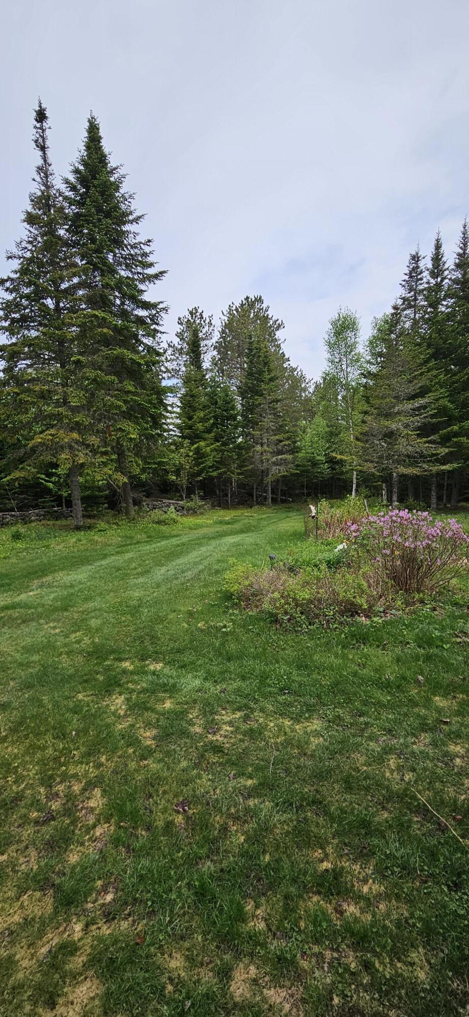 1112 East B Hill Road Upton, ME 04261 - Photo 26 of 39 Driveway
