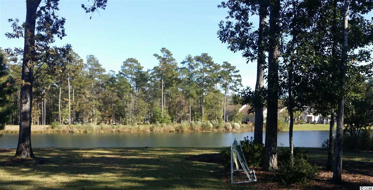 467 Chamberlin Road Myrtle Beach, SC 29588 - Photo 3 of 3 Gallery Image 3