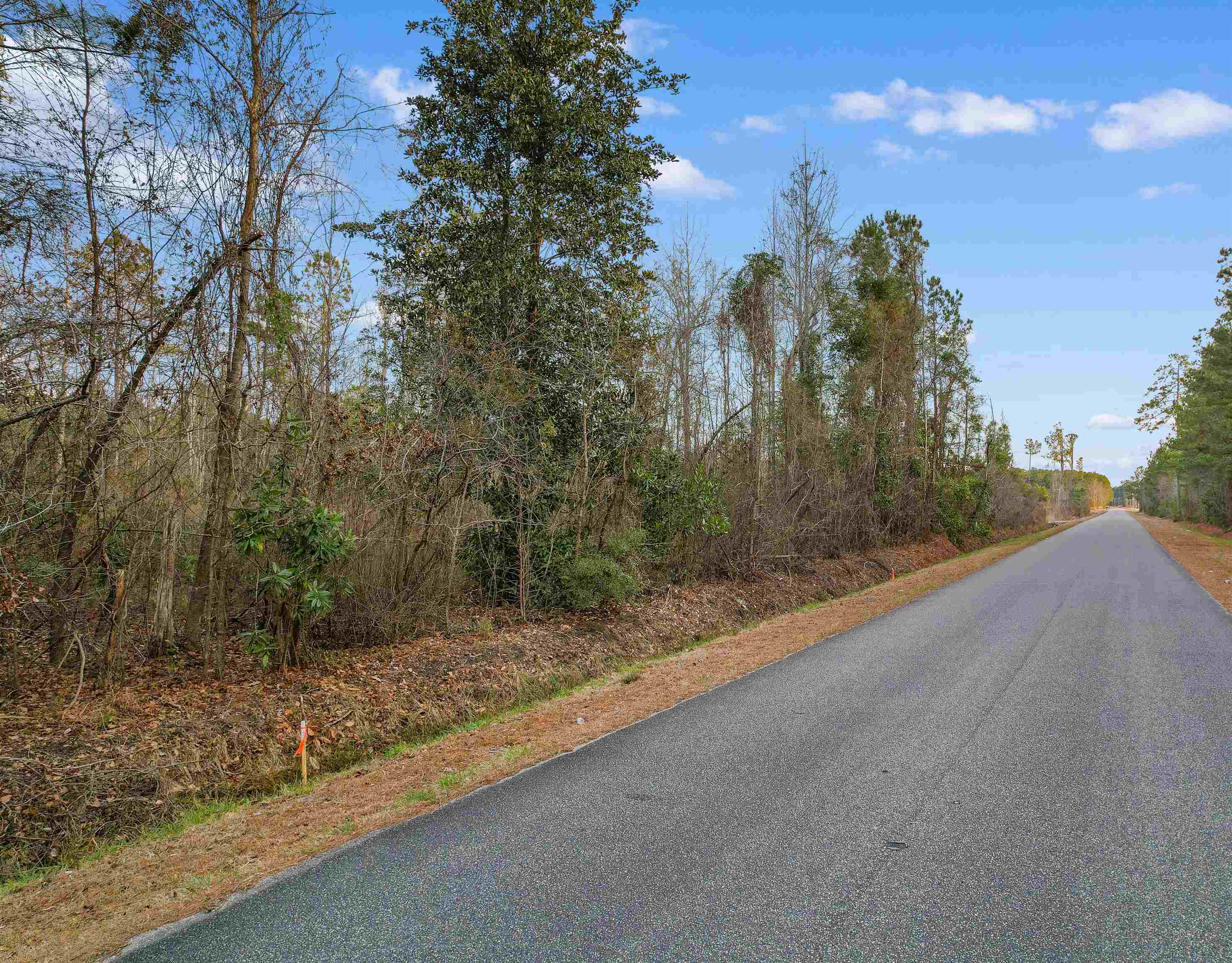 Tbd Fowler School Road Green Sea, SC 29545 - Photo 3 of 8