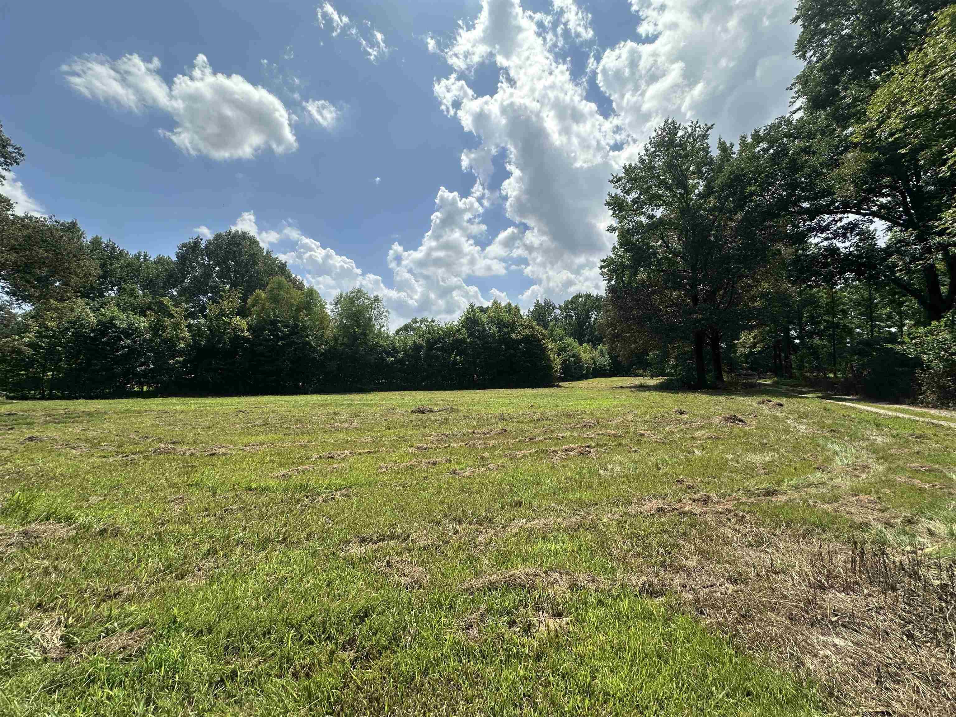 0 Old L&N Road Stanton, TN 38069 - Photo 1 of 10 a view of a green yard