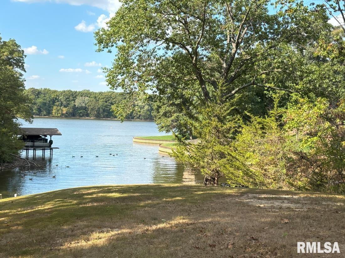 19 Forest Ridge Springfield, IL 62712 - Photo 3 of 4