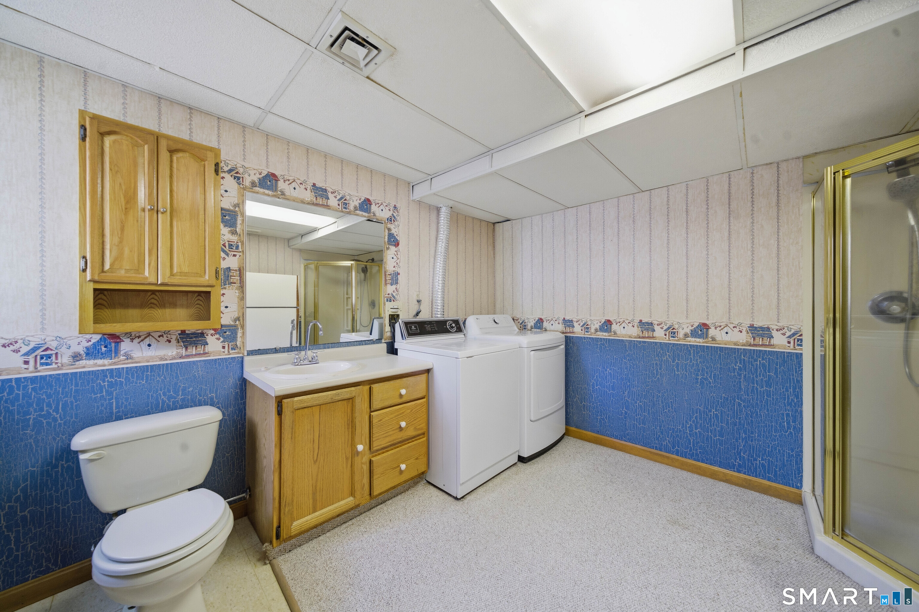 17 Spruceland Road Enfield, CT 06082 - Photo 33 of 40 Lower level full bath with shower stall
