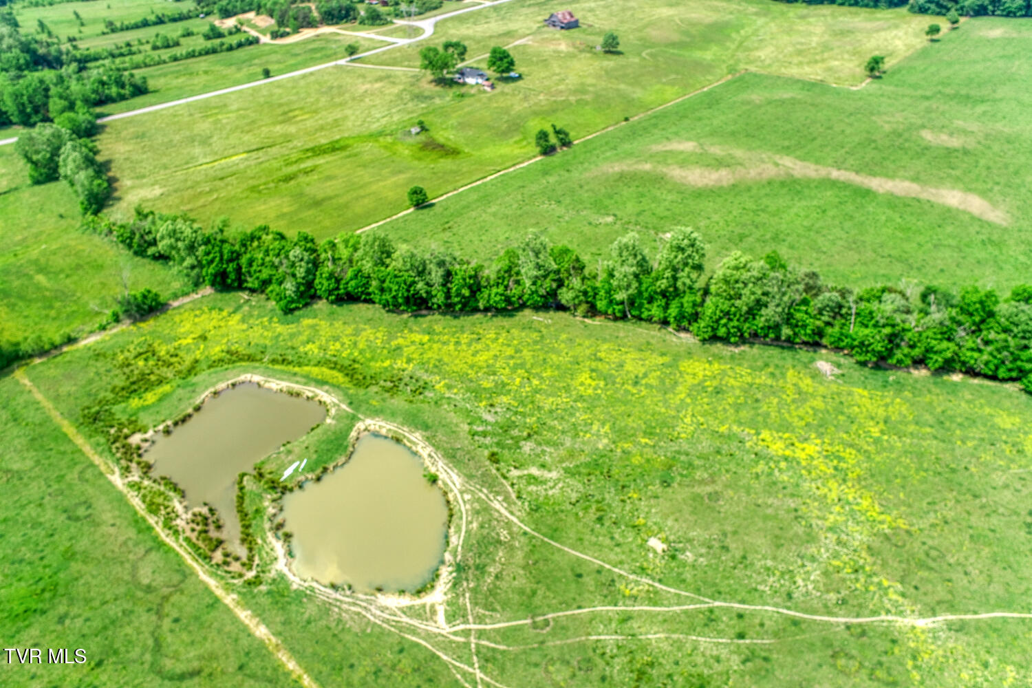 4135 Ottway Road Greeneville, TN 37745 - Photo 90 of 116 J Carter Ottway Gvl MLSa (85 of 113)