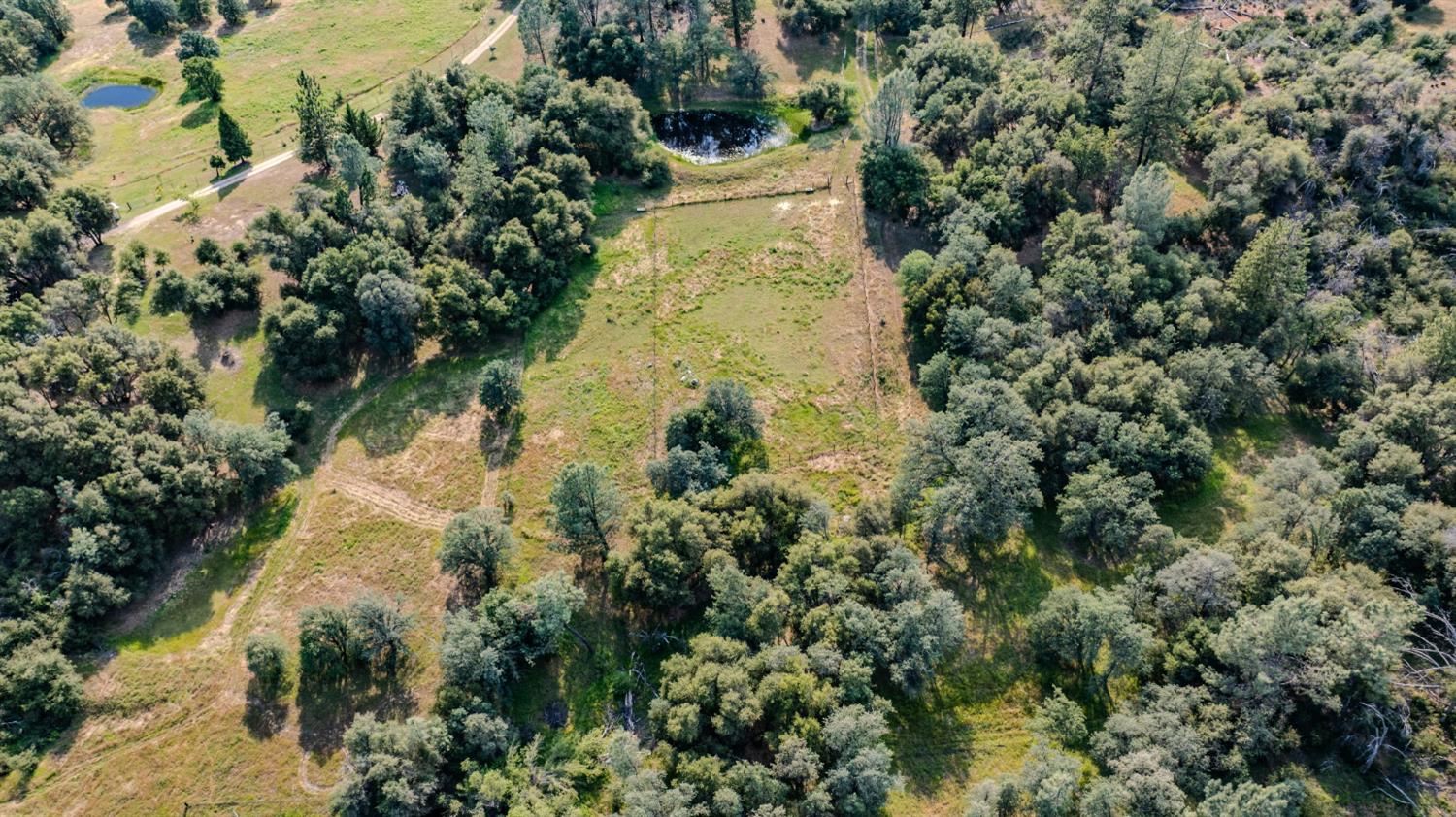 6216 Trout Lane Mountain Ranch, CA 95246 - Photo 36 of 39 an aerial view of a residential houses with yard