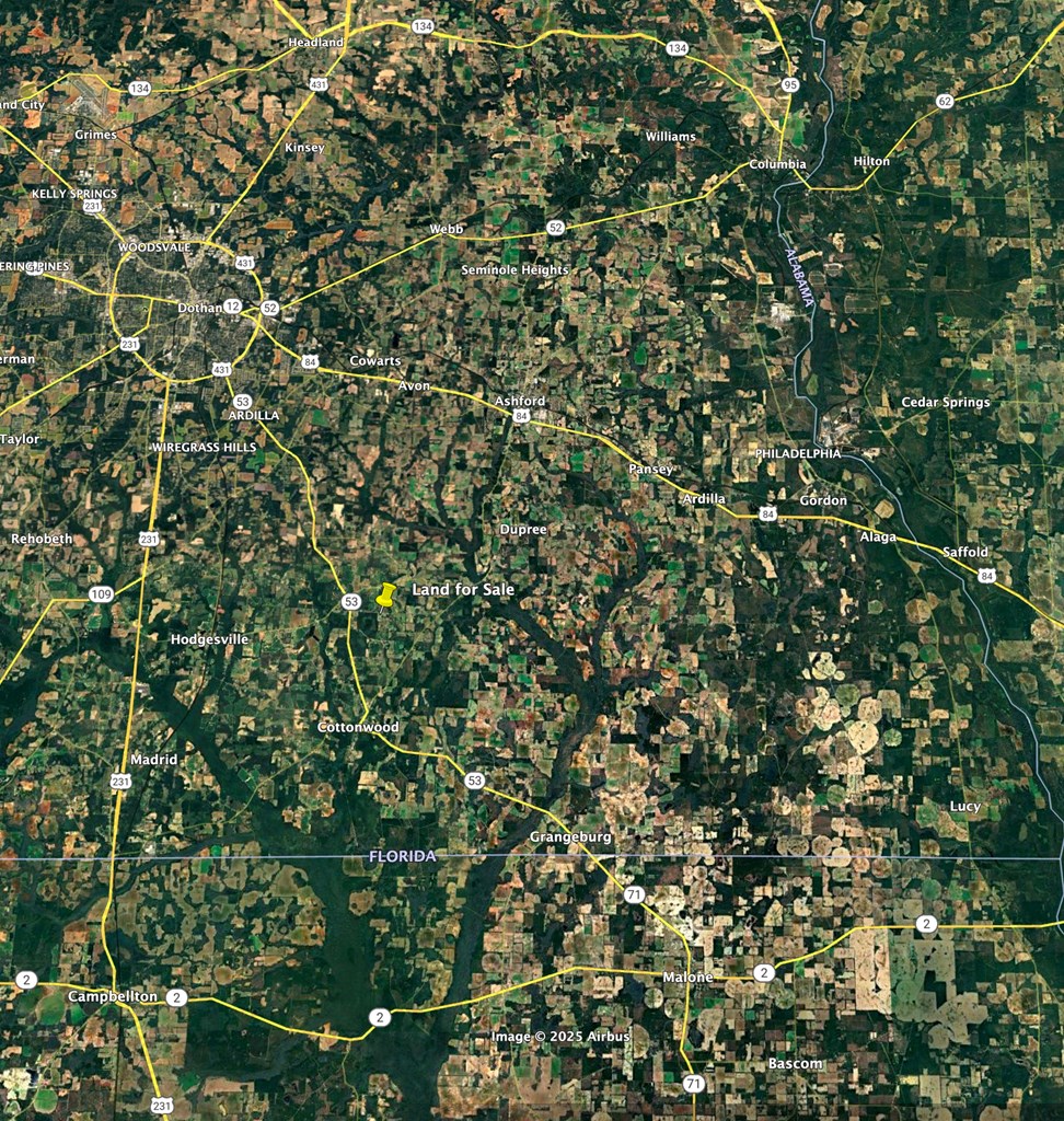 5.8-acres Nobles Road Cottonwood, AL 36320 - Photo 28 of 29