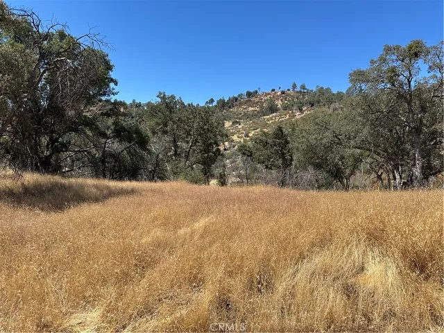 a view of outdoor space and trees