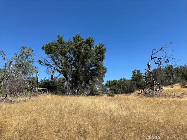 a view of a yard covered with snow in front of house